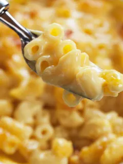 Featured image showing the finished Mac and cheese recipes.