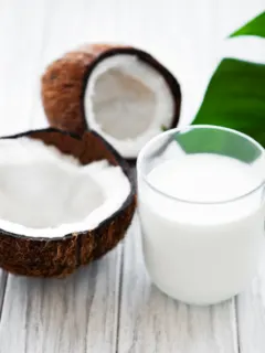 recipes with coconut milk