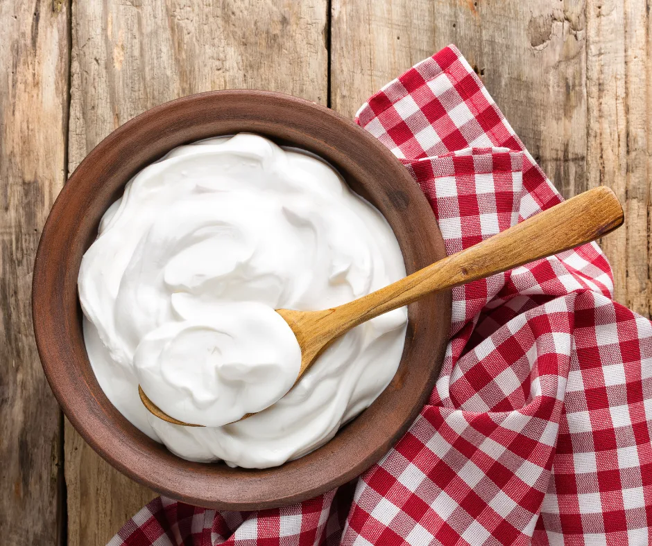 recipes for yogurt featured image