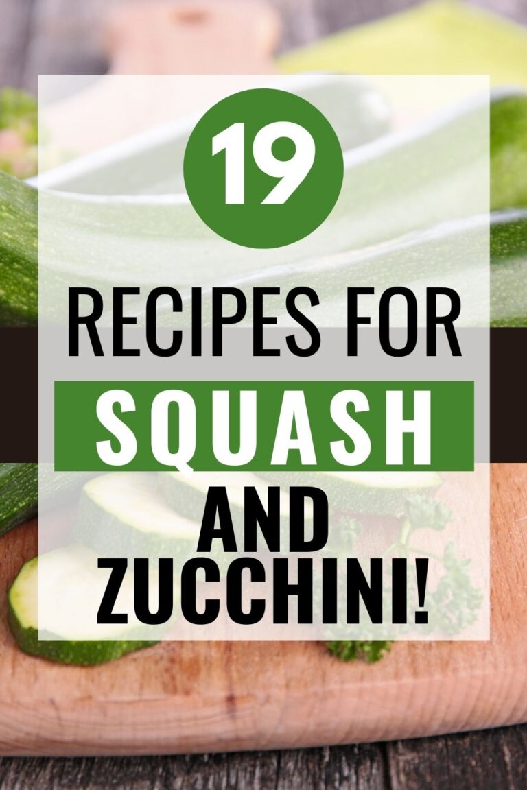 Pin showing the title 19 Recipes for Squash and Zucchini