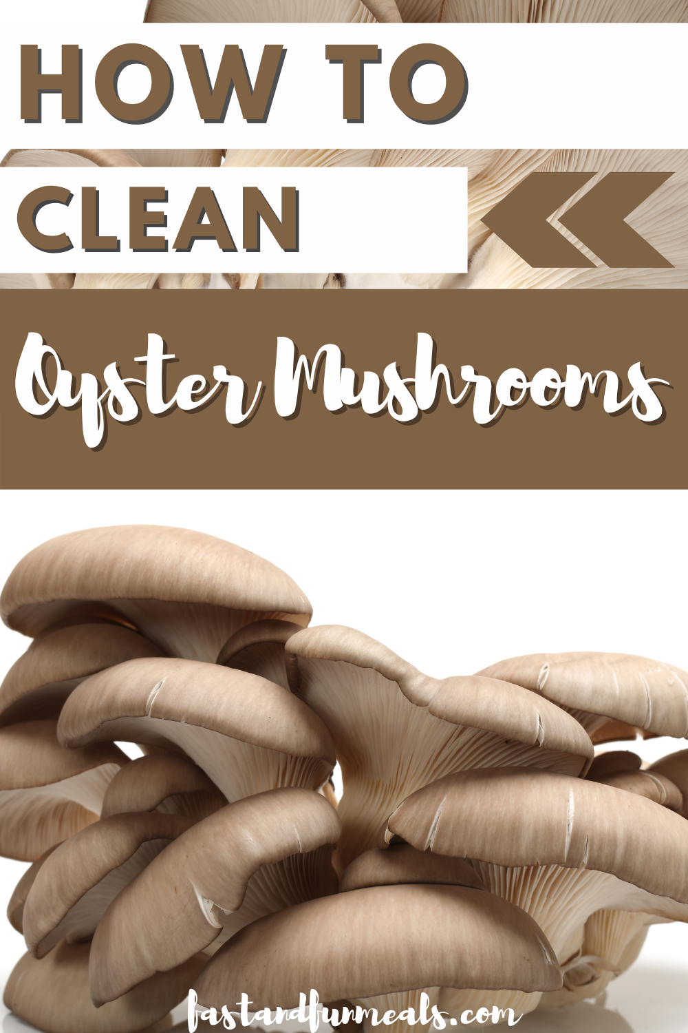 Pin showing the title How to Clean Oyster Mushrooms